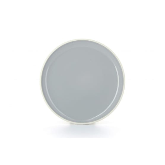 Set of 6 Colour Lab Dinner Plates (25cm Each)