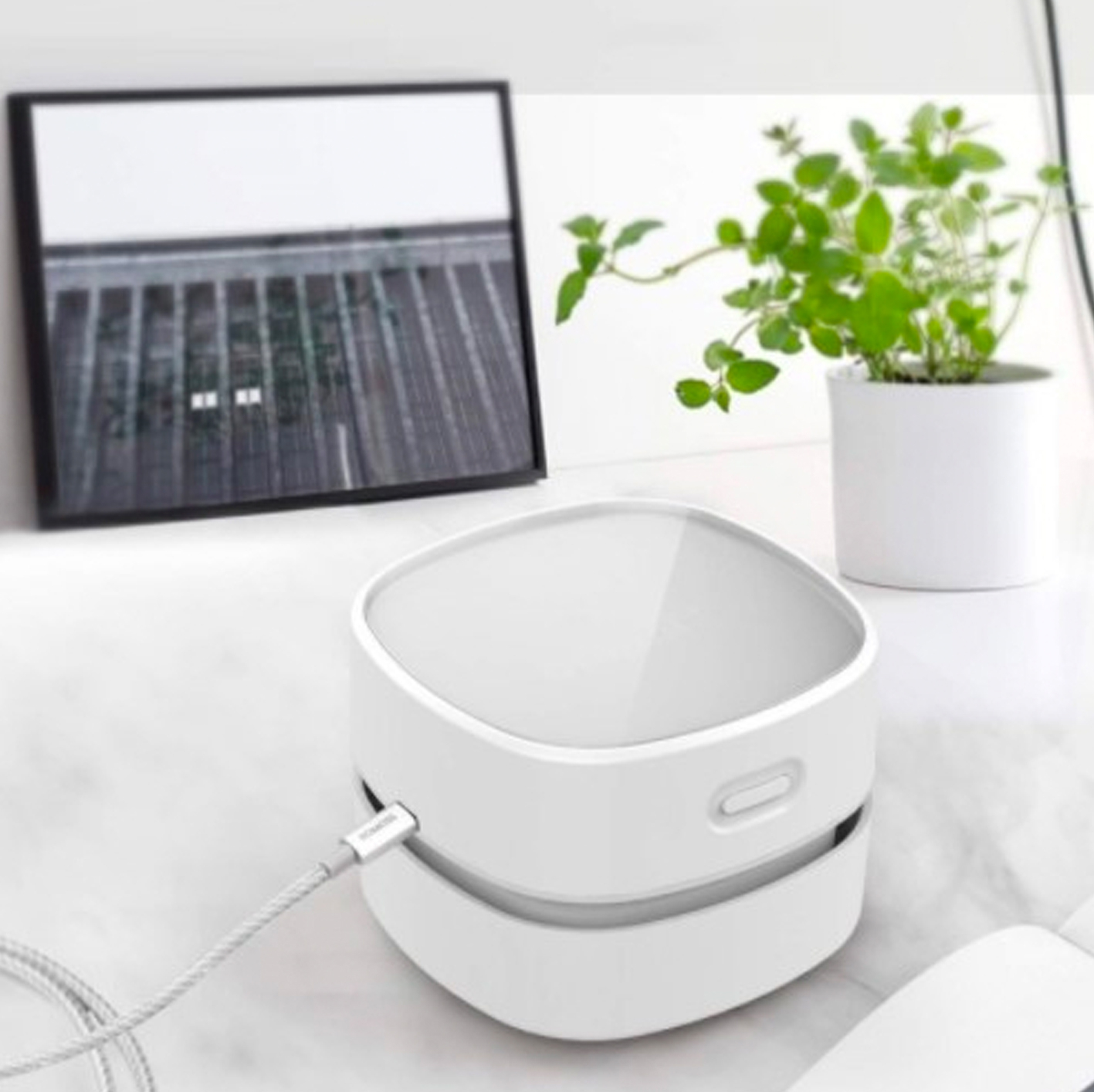 Blitz Vacuum Cleaner