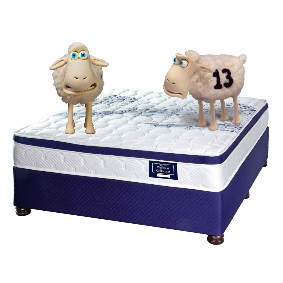 Wellness Collection Edinburg Comfort Top Flip Free Bed Set