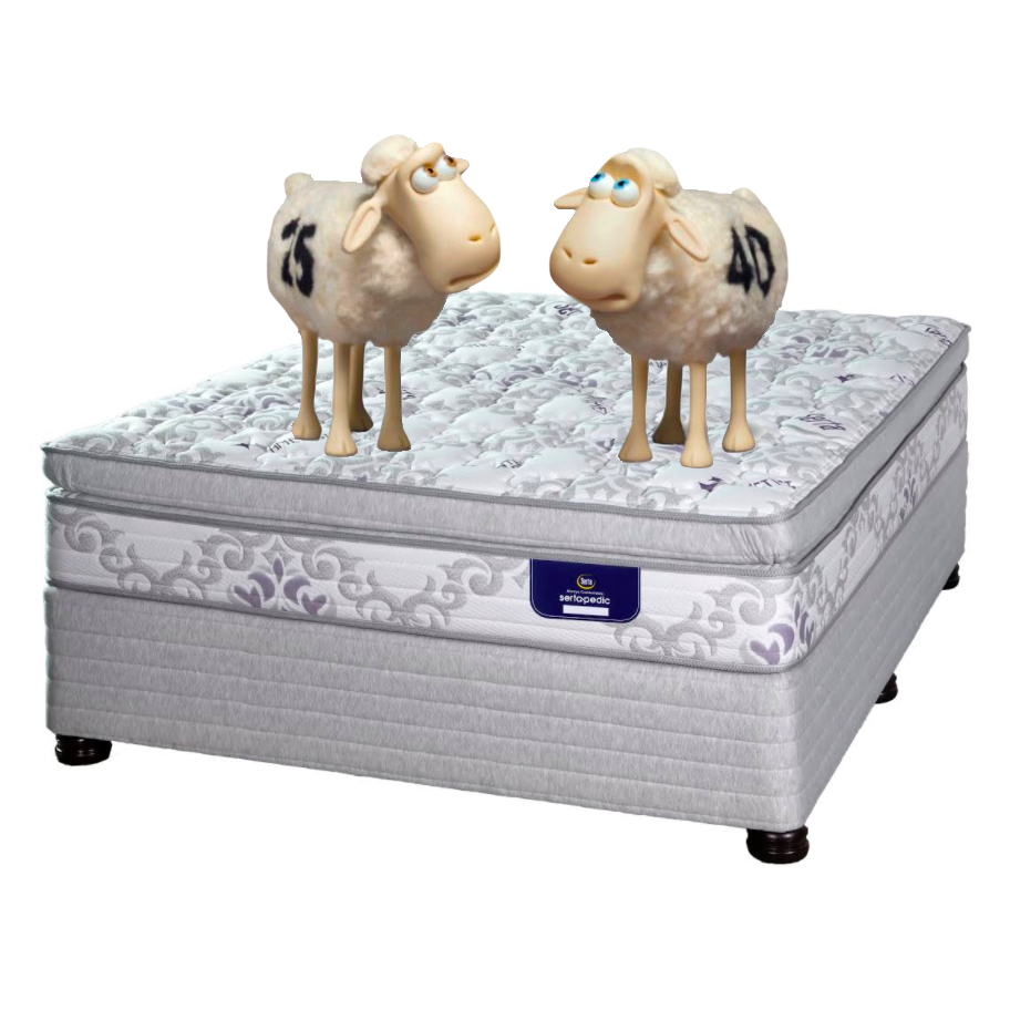 SertaPedic Norwich Pillow Top Flip Free Bed Set