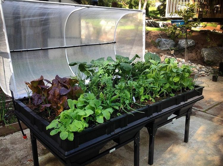 Large garden pod with stand