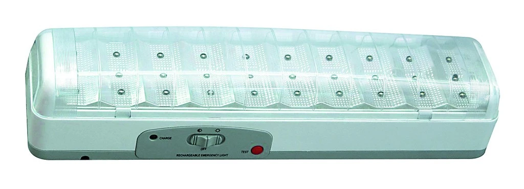 30 LEDs (Pack of 2)