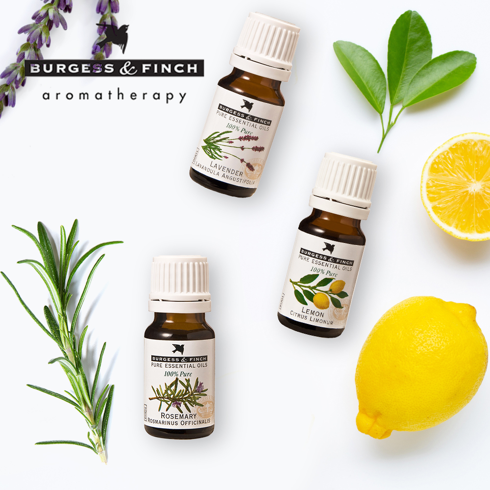 Pack of 3 10ml Aromatic Pure Essential Oils