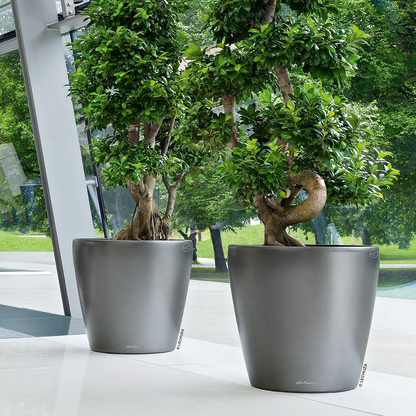 Classico Contemporary Self-Watering Planter