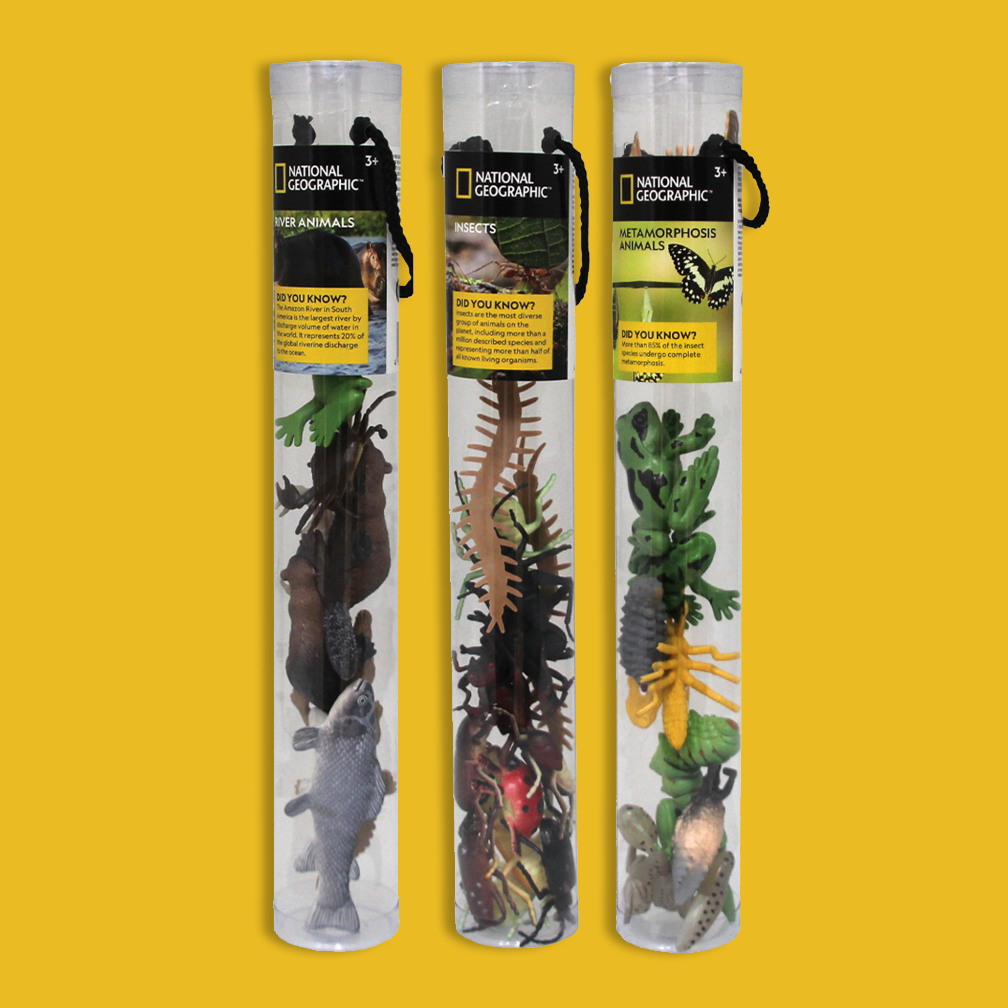 River Creatures Tube Bundle