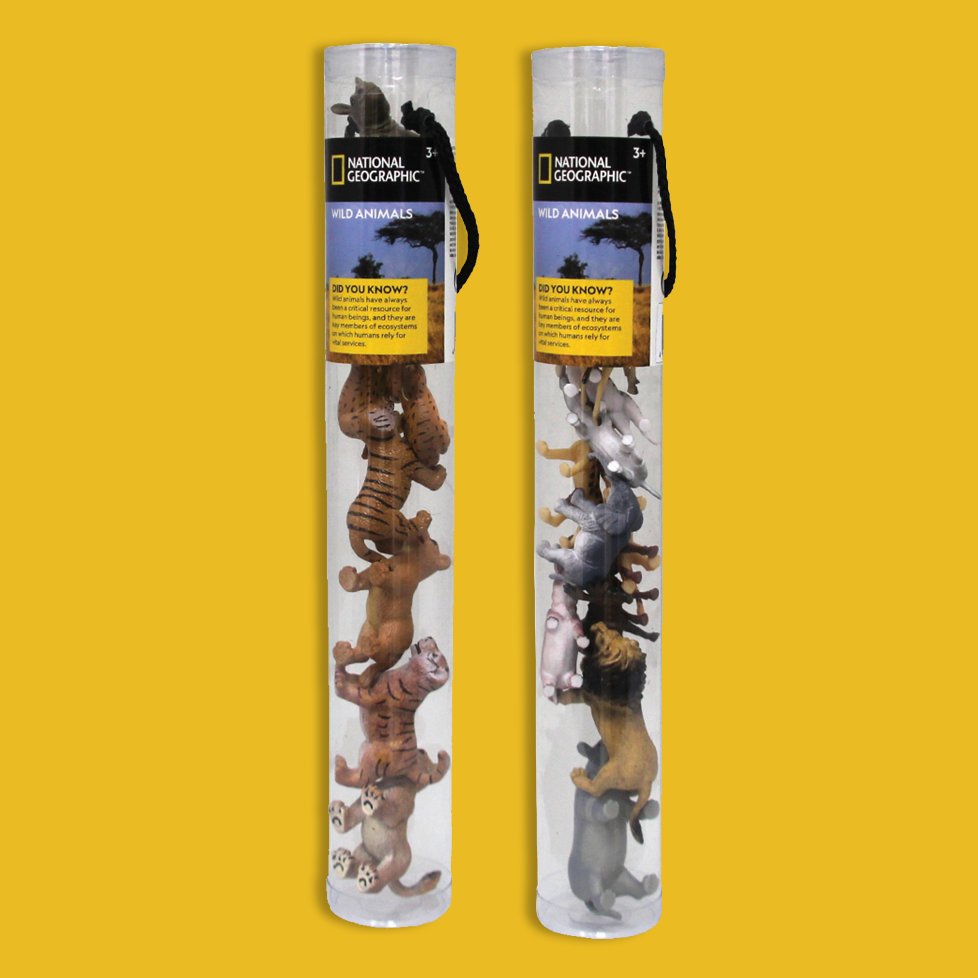 25 off on Wild Animals Tube Bundle OneDayOnly