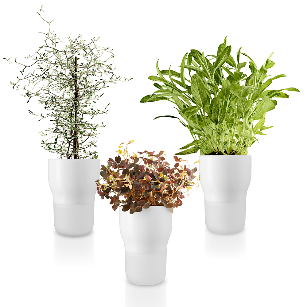 Self-Watering Flower Pot