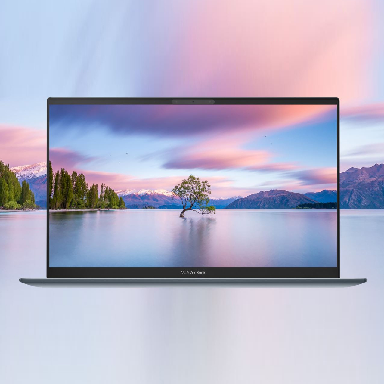 Zenbook 14 (Model: UX425JA)