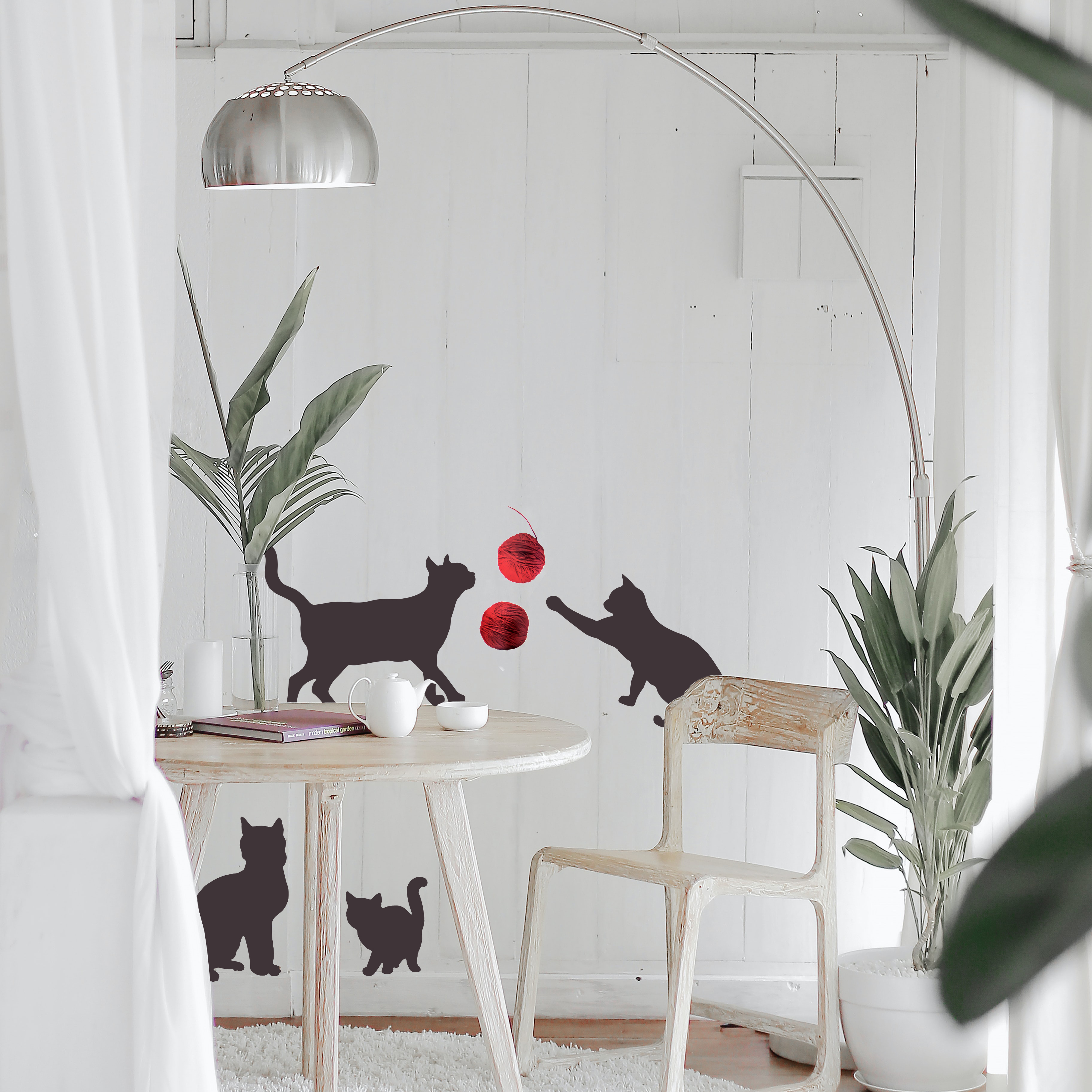 Cats