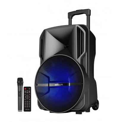 80W RMS 15.0" Trolley Multimedia Speaker with Mic