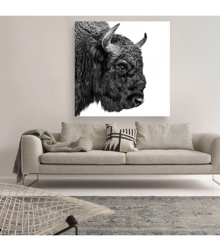 European Bison
