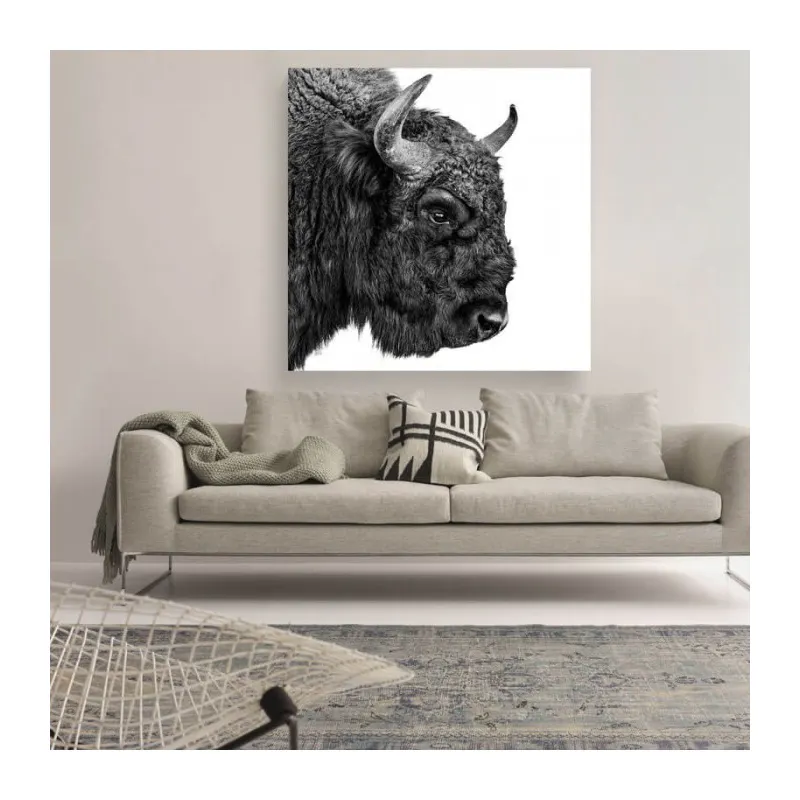 European Bison