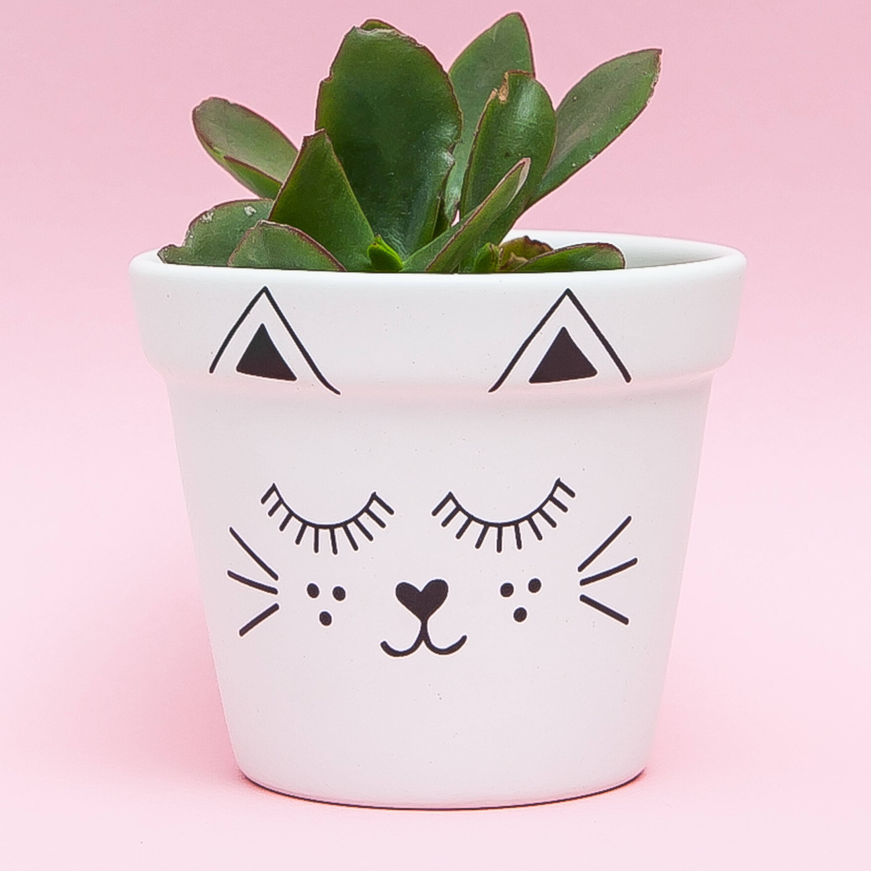 Handmade Ceramic Illustration Planters