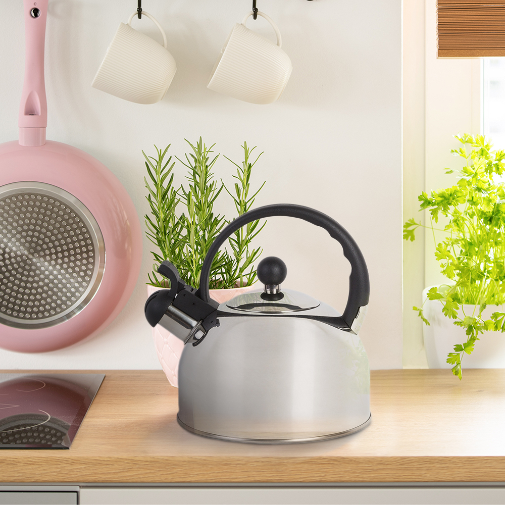 2.5L Stainless Steel Whistling Kettle