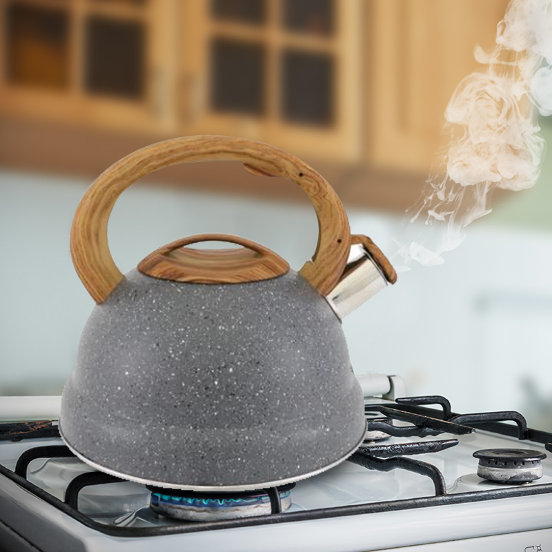 Stainless Steel 3L Stovetop Whistle Kettle