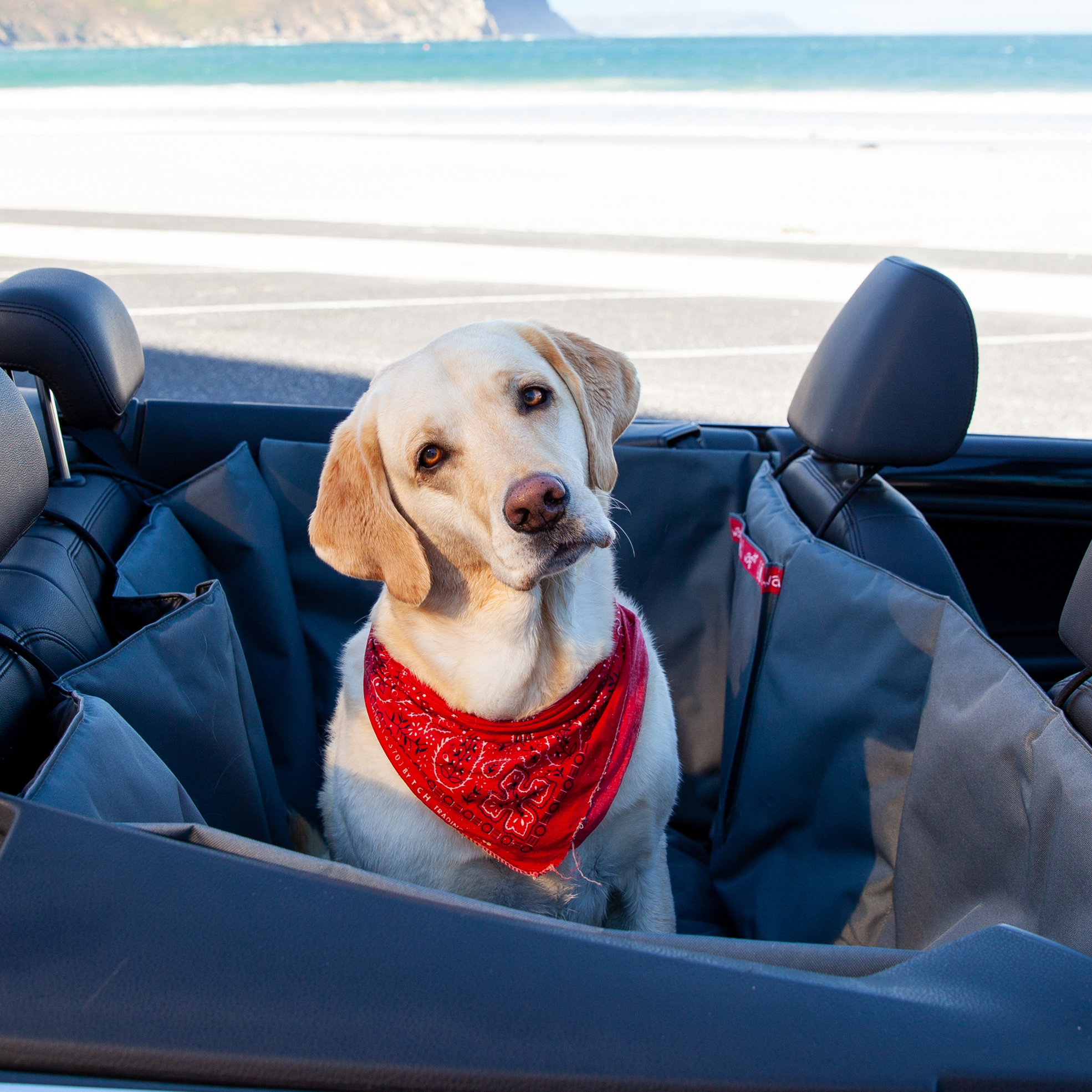 Red Deluxe Car Seat Hammock