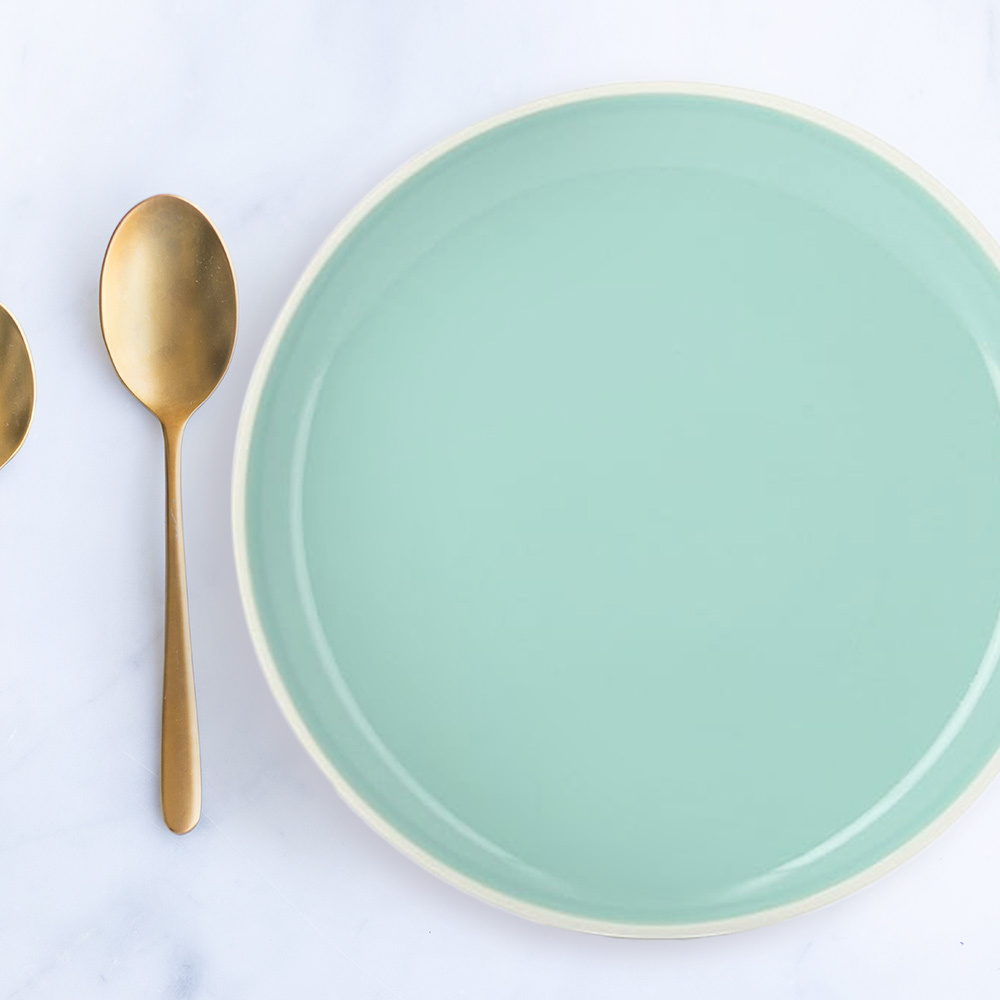 Set of 6 Colour Lab Dinner Plates (25cm Each)