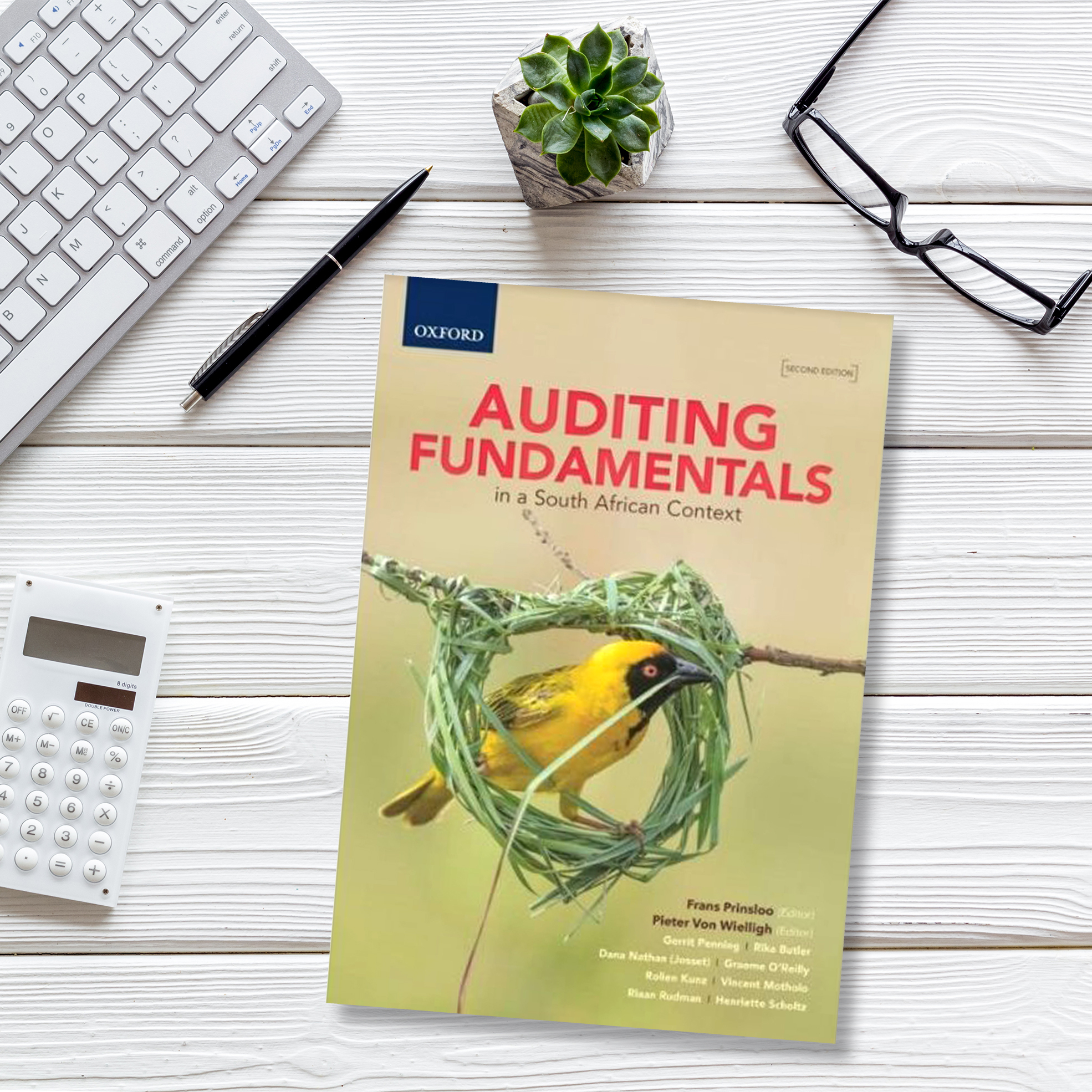 Auditing Fundamentals in a SA Context, 2e Paperback Textbook