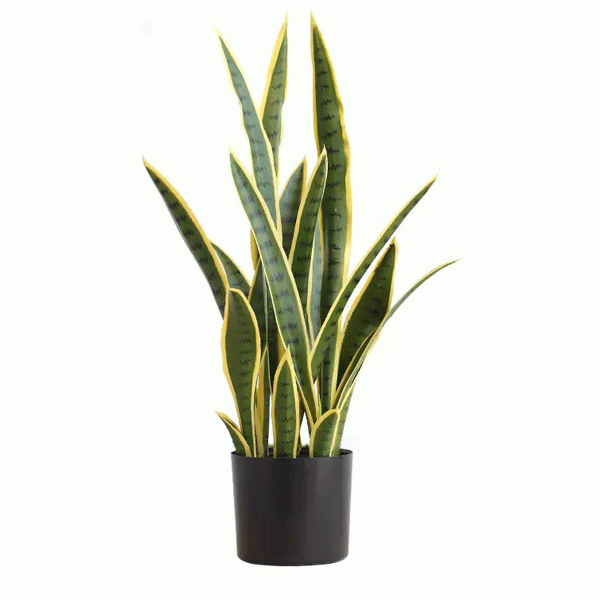 Artificial 75cm Sanseviera Snake Pot Plant