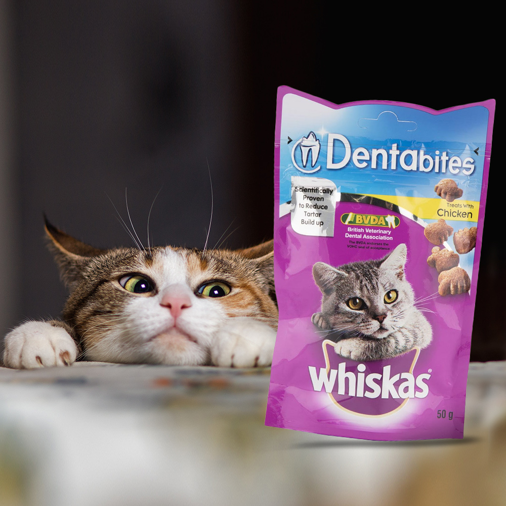 Pack of 8 50g Chicken Dentabites