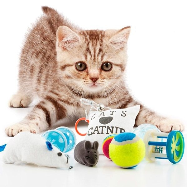 8-Piece Cat Toy Bag