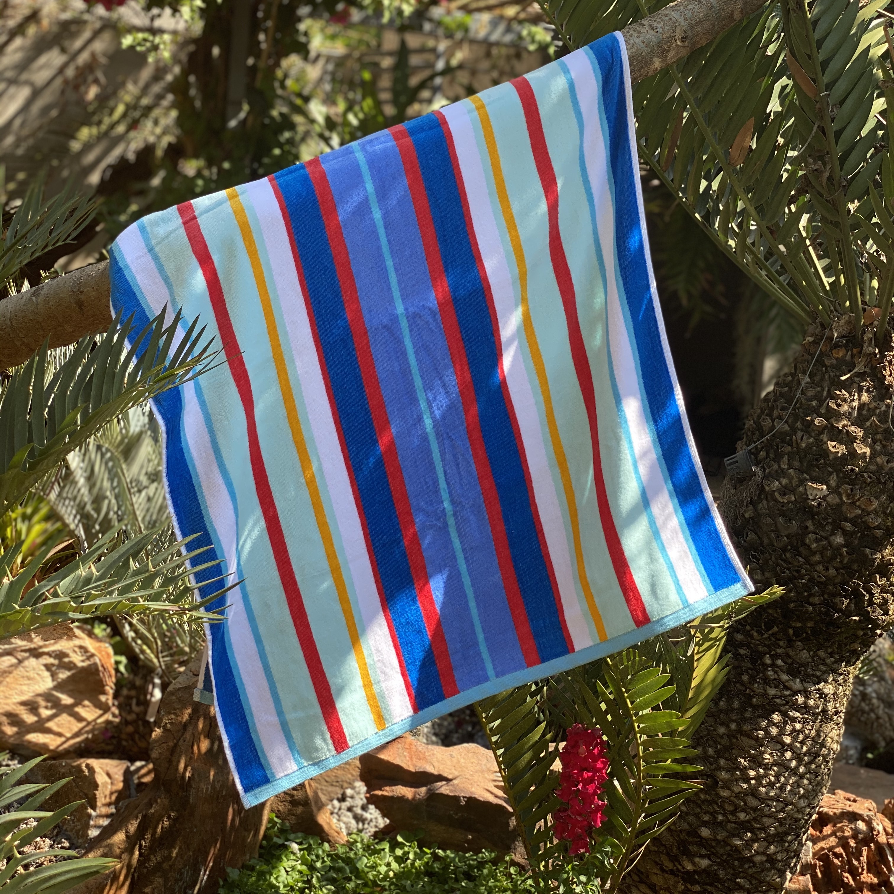 Palm Beach Collection 100% Cotton 400gsm Beach Towel (80x160cm)