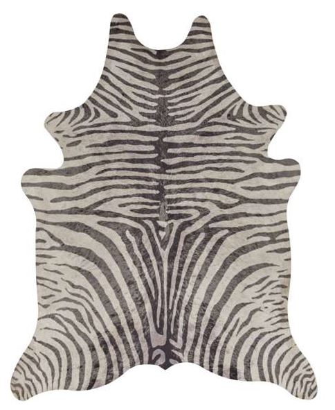 Khumba Zebra