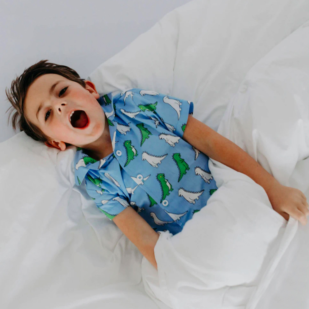 Boys Winter Cotton Dinosaur Print PJs