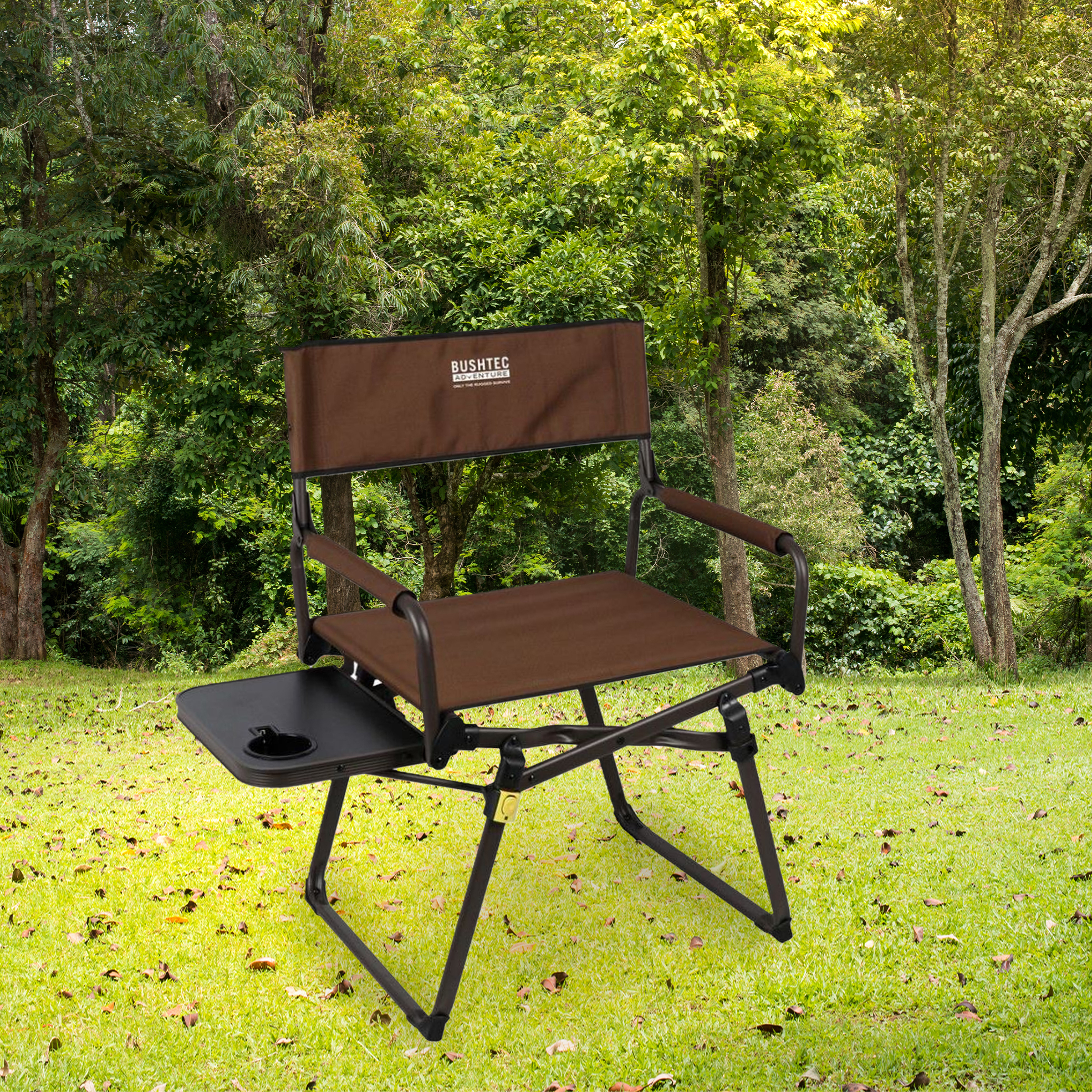 Ultra-Compact Directors Chair