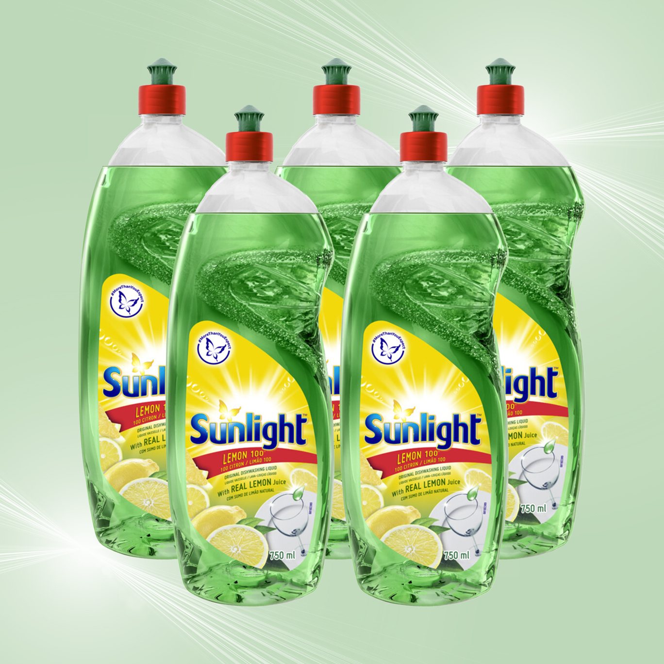 Pack of 5 750ml Lemon Dishwashing Liquid
