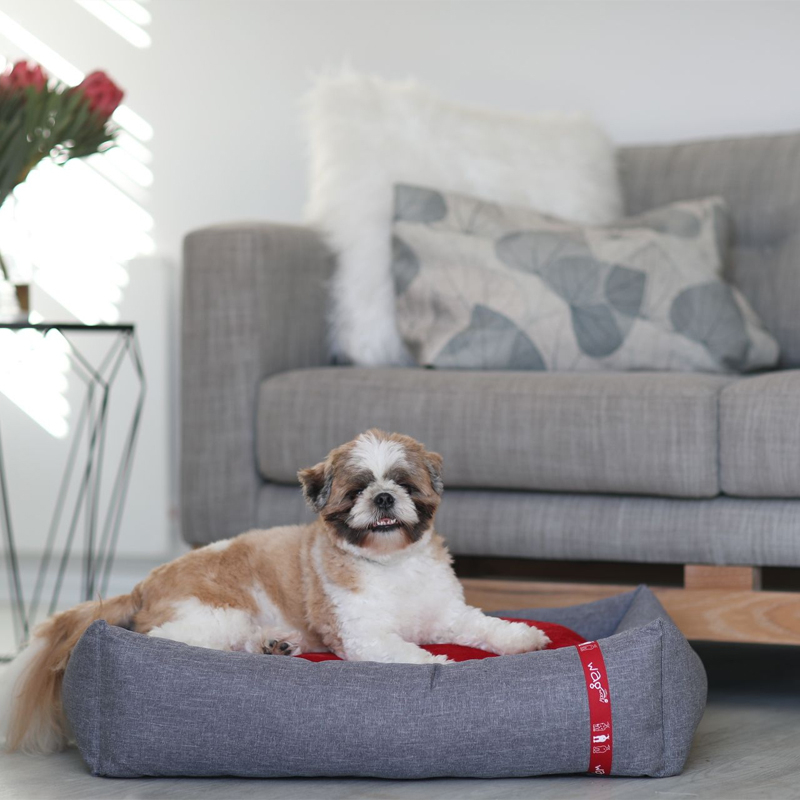 Dream Pod Pet Bed