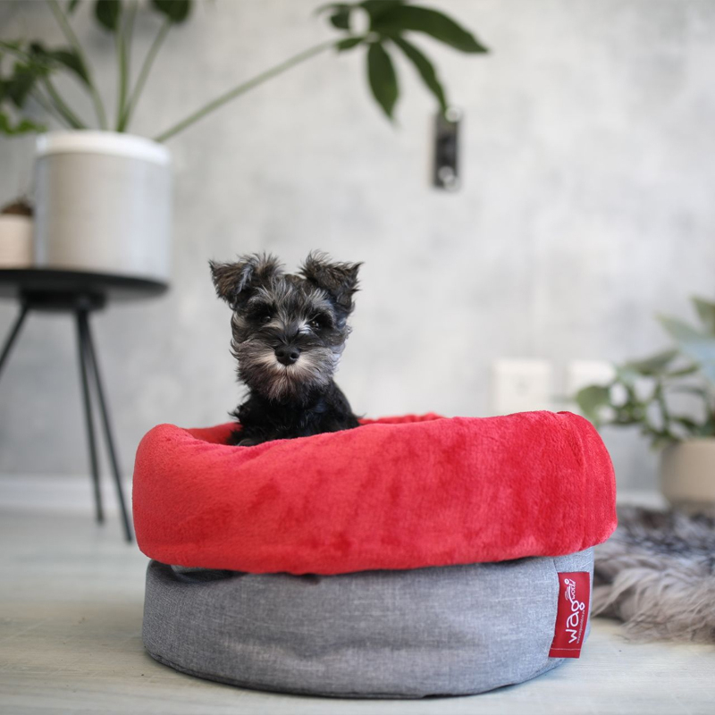 Foliage Nap Sack Pet Bed