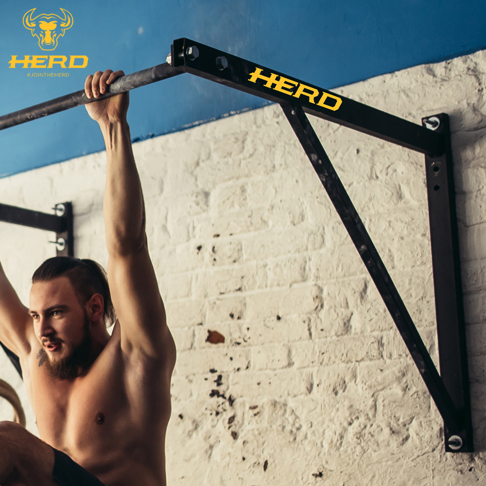 Wall-Mounted Pull-Up Station