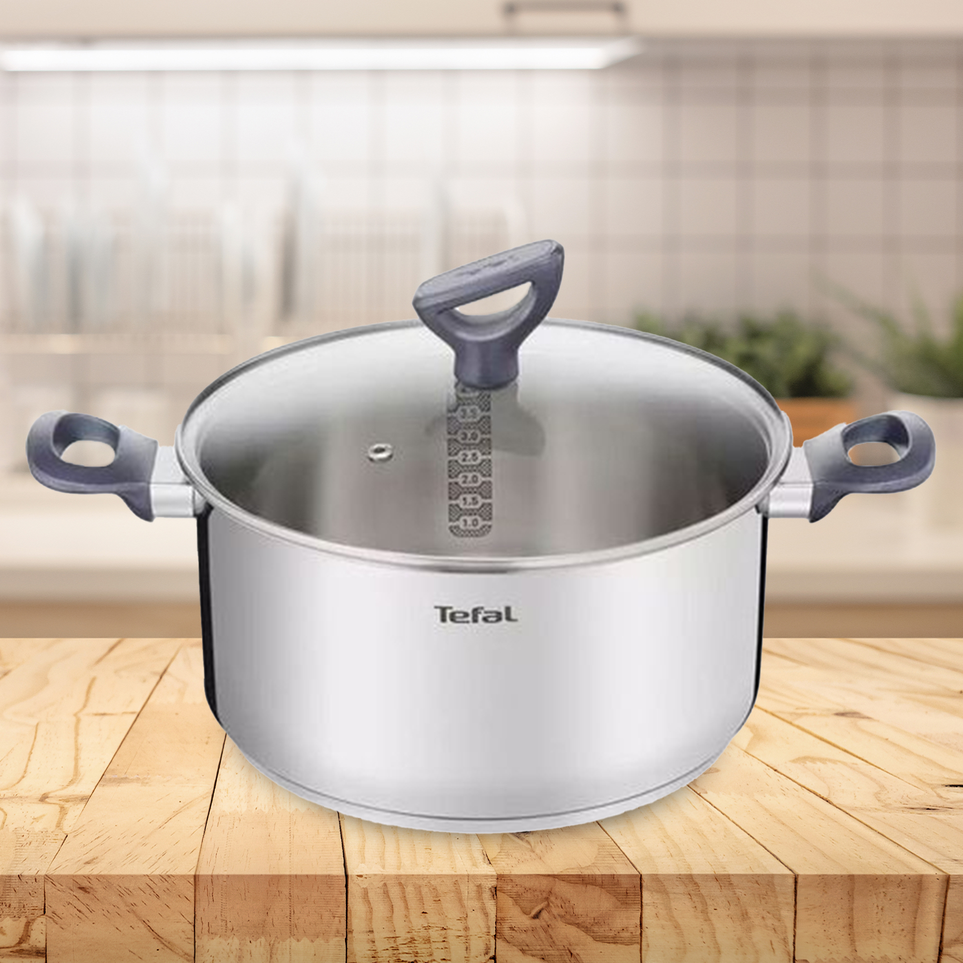 24cm Daily Cook Coated Stewpot with Lid