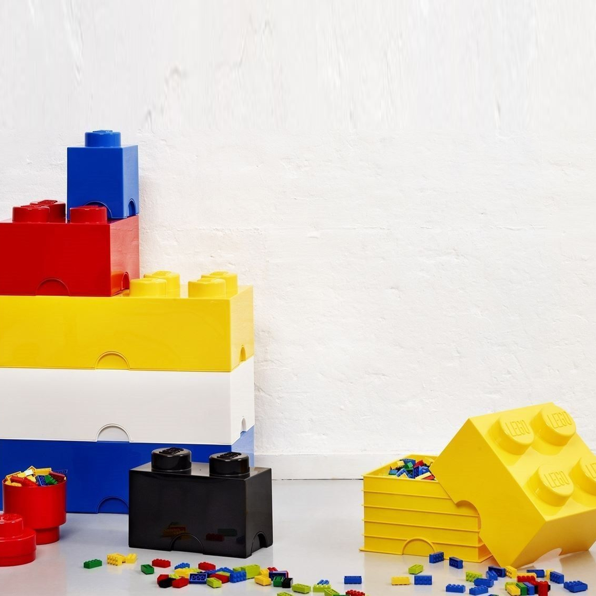 50cm Blue Storage Brick with 8 Knobs