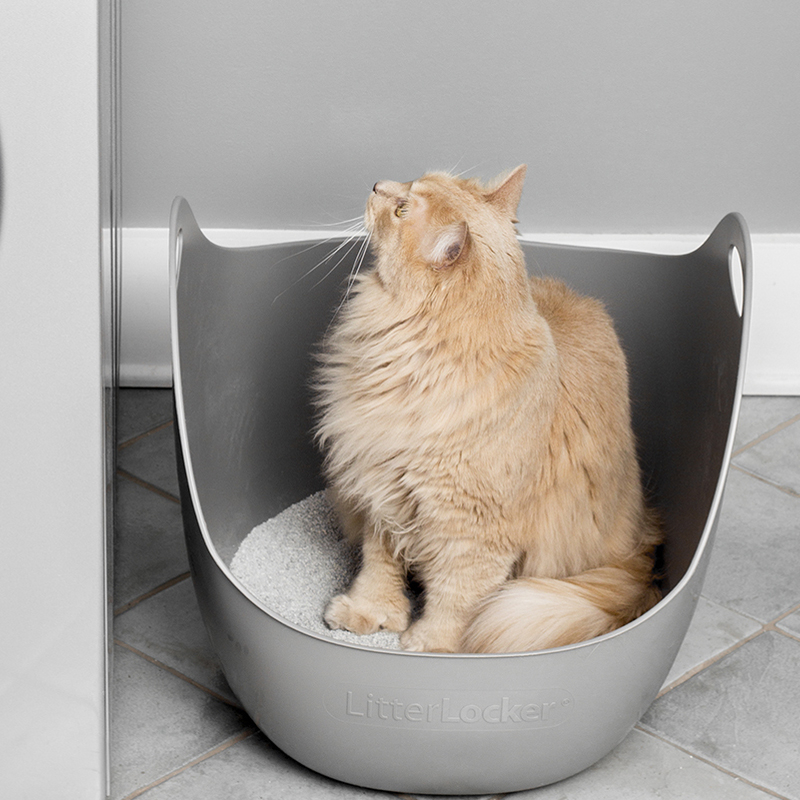 Flexible and Elegant Litter Box