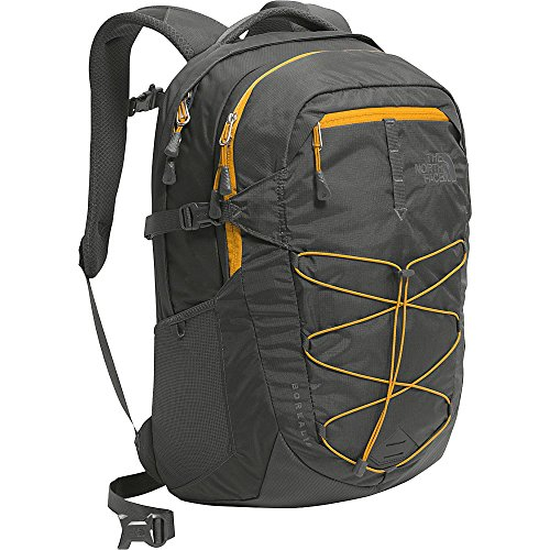 Asphalt Grey/Citrine Yellow