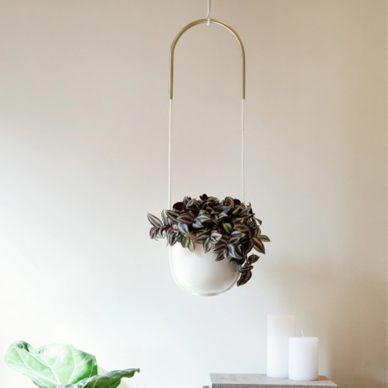 Bolo White Hanging Wall or Ceiling Planter