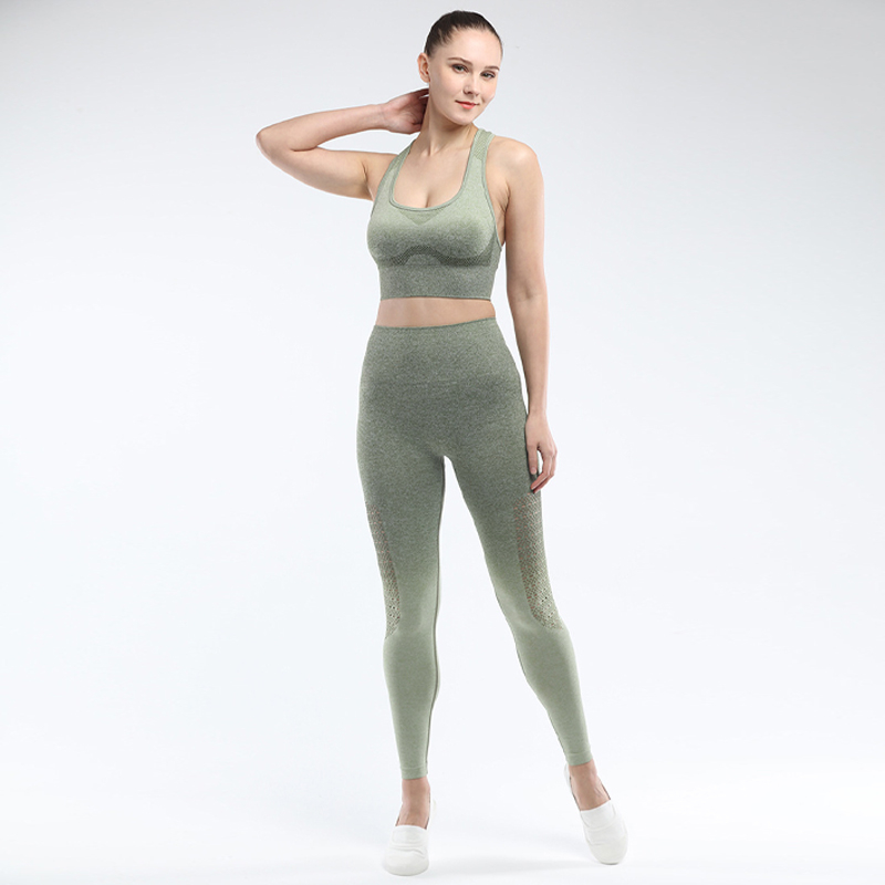 2 Piece Ombre Fitness Activewear Set