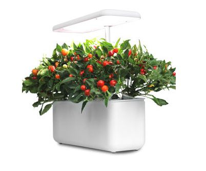 LED Indoor Plant Hydroponic Grow Kit