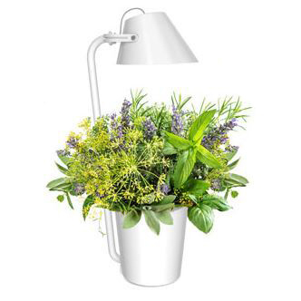 LED Indoor Plant Grow Light