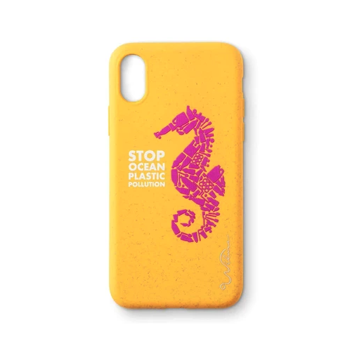 Plain Seahorse