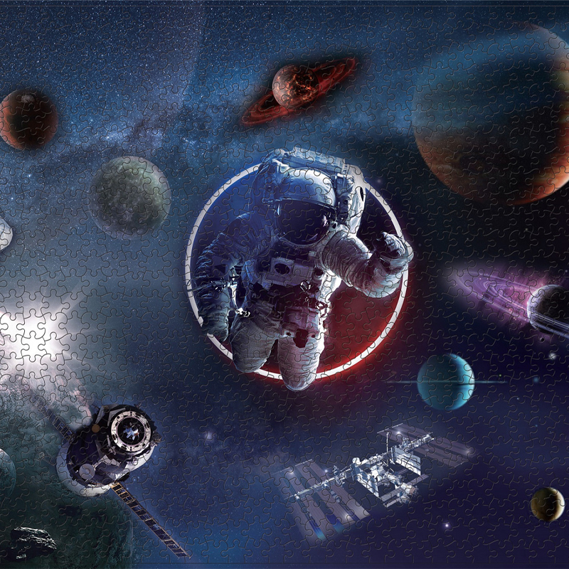 1000-Piece Adult Novelty Rectangle Puzzles