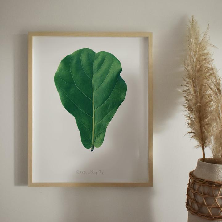 Botanical Wall Art Print
