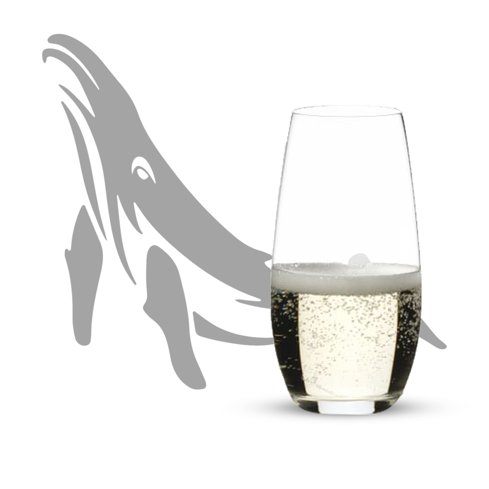 Set of 12 230ml Stemless Champagne Glasses