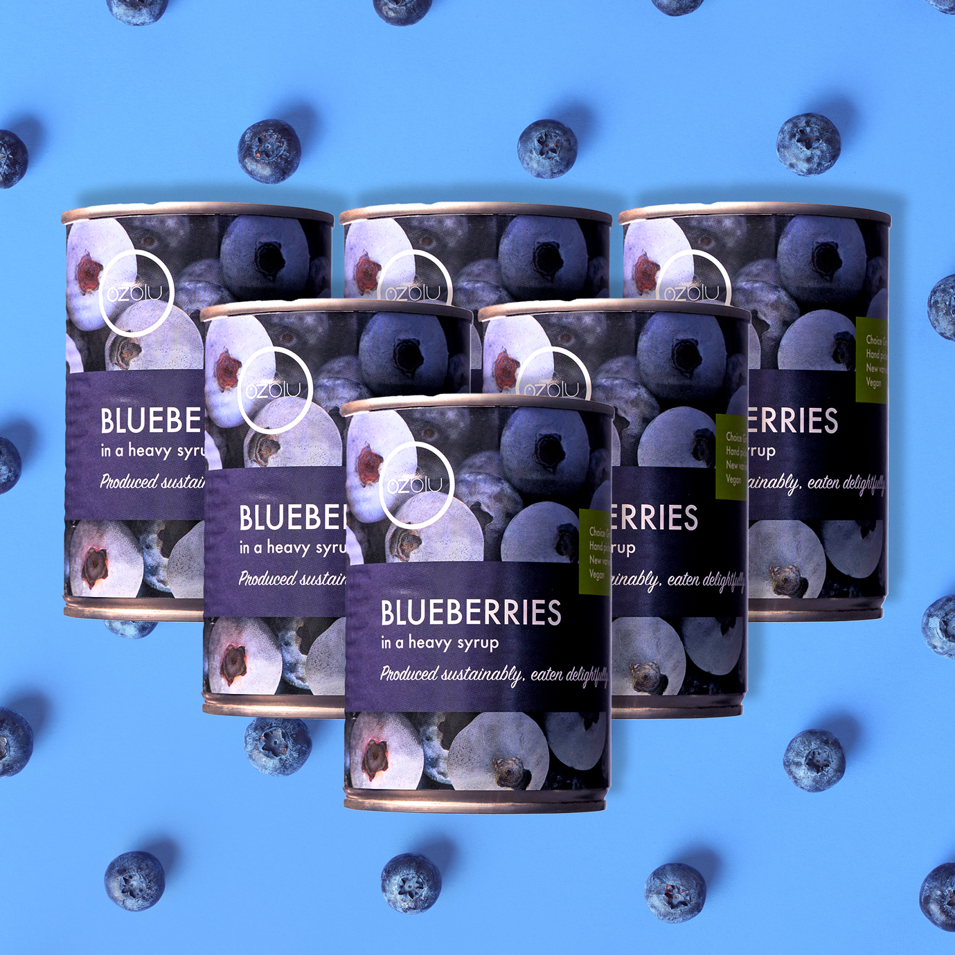 Pack of 6 Tinned Blueberries