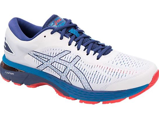 Men's Gel-Kayano 25 Shoes