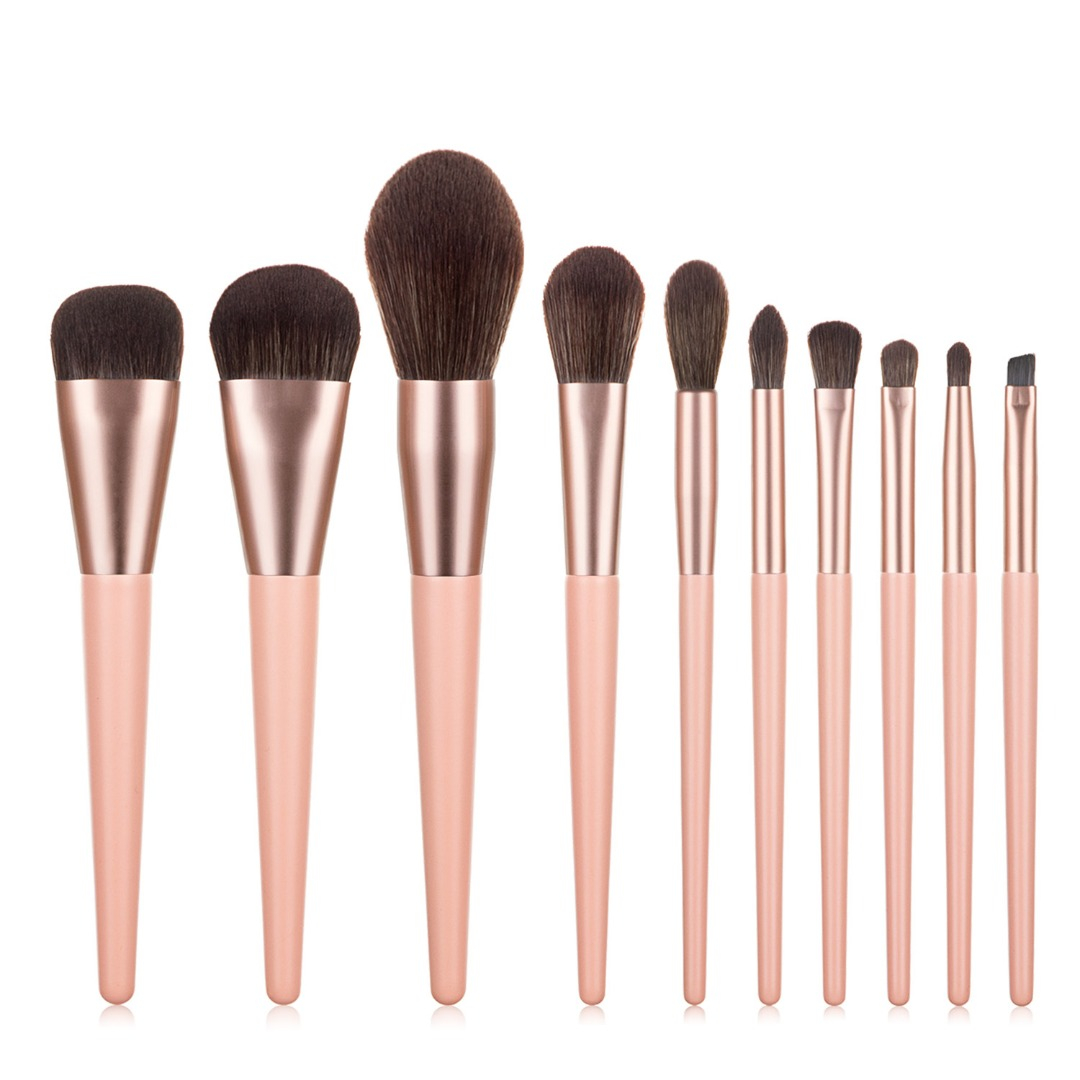 11-Piece Blush Collection Professional Make Up Brush Set with Pouch