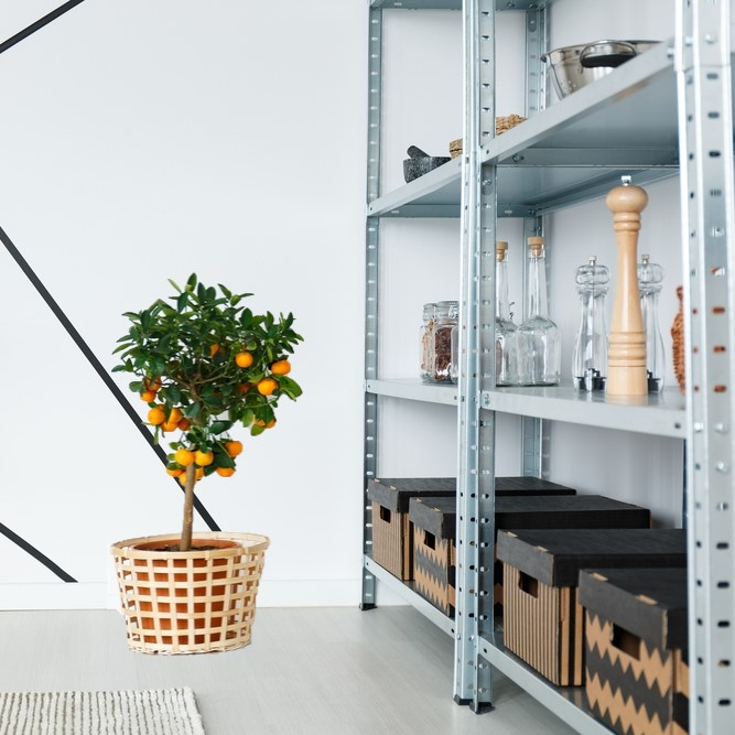 4 or 5 Tier Galvanized Steel Shelving
