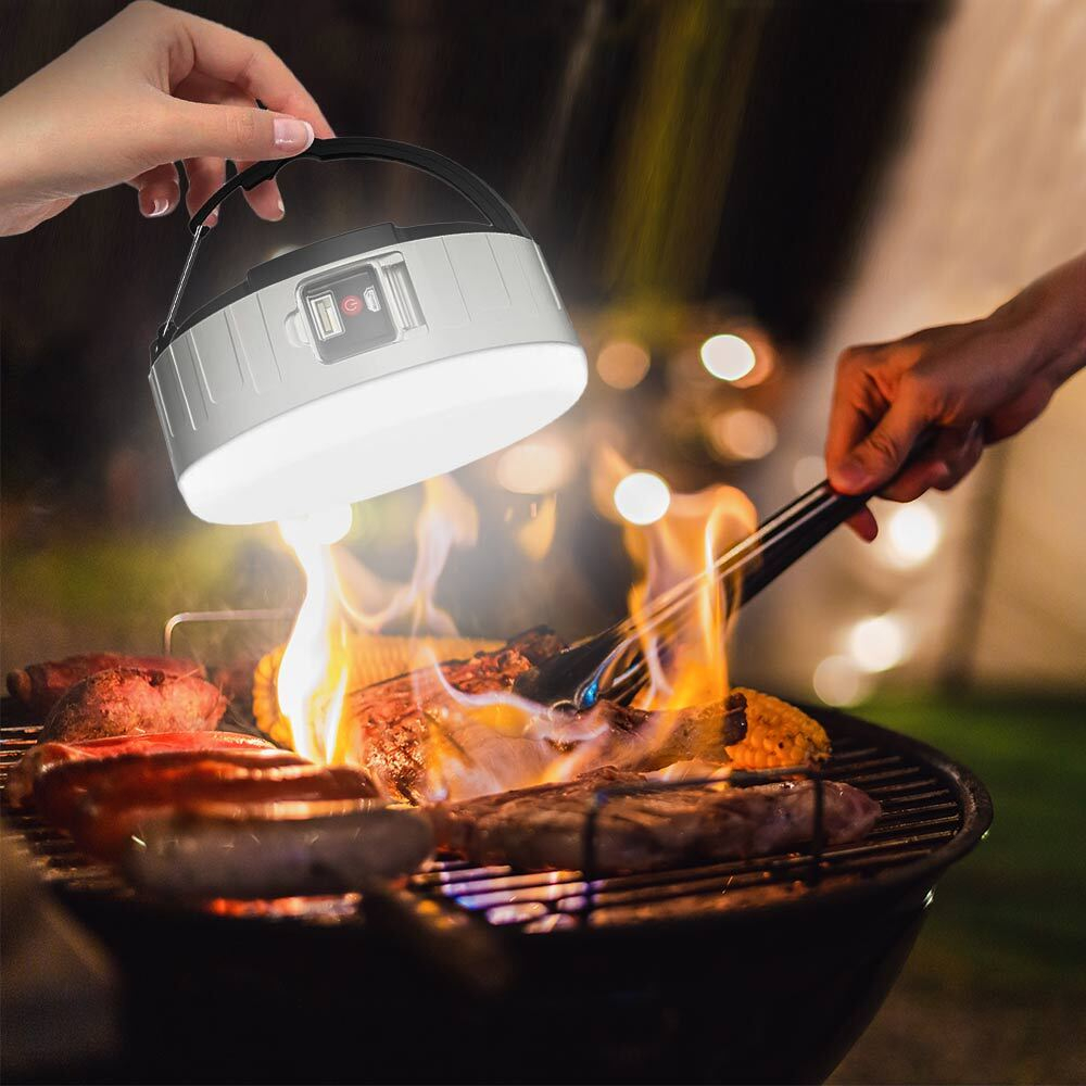Outdoor LED Solar Charging Lamp and Power Bank